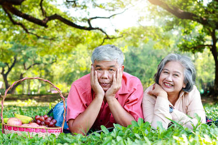 Asian elderly couple picnic in the park Lying on the grass with a basket of fruit next to it. They are enjoying their vacation. The concept of living in retirement to be happy, eating healthy food.の写真素材