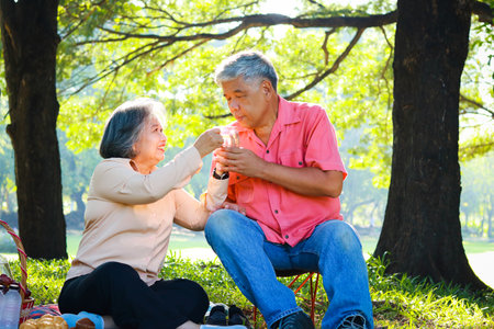 Asian elderly couple having a picnic in the park sitting on the grass talking happily. The concept...