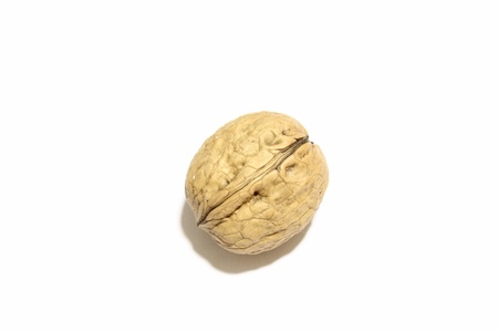 A beautiful walnut with white backgroundの写真素材