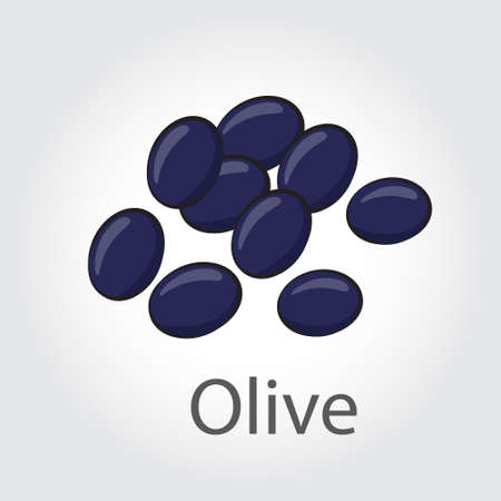 olive fruit design vector object illustration ingredients foodのイラスト素材