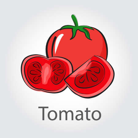 tomato design vector object illustration, fresh fruit and organic vegetable foodのイラスト素材