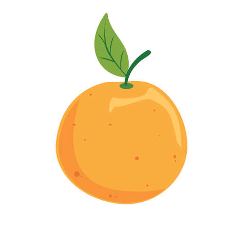 orange design vector illustration objects, fresh fruit and organic fruit foodのイラスト素材