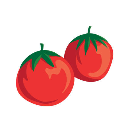 tomato design vector illustration objects, fresh fruit and organic fruit foodのイラスト素材