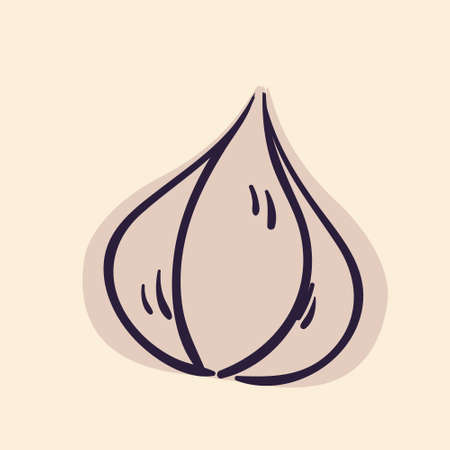 hand drawn garlic design vector flat objectsのイラスト素材