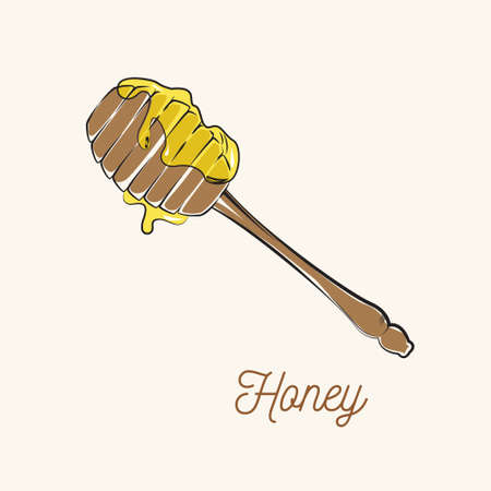 anise ingredients object design vector hand drawn objectsのイラスト素材