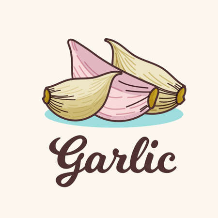 garlic ingredients object design vector hand drawn objectsのイラスト素材