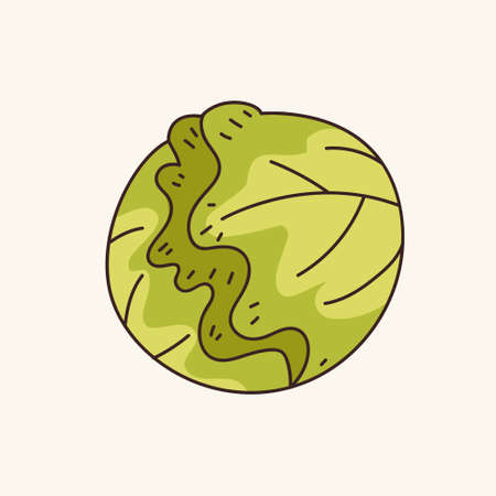 lettuce ingredients object design vector hand drawn objectsのイラスト素材