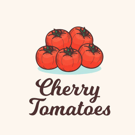 cherry tomato ingredients object design vector hand drawn objects