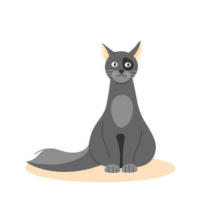 cat design vector object illustration character pet animal friendlyのイラスト素材