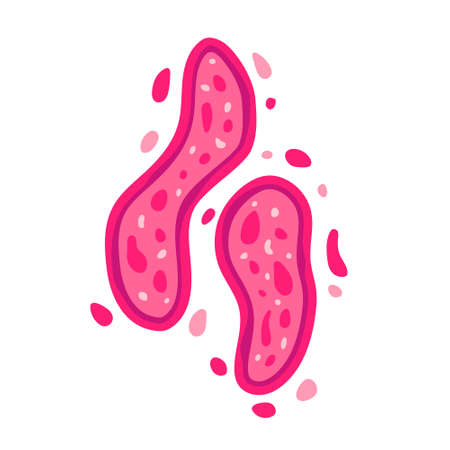 virus germs and bacteria design vector objects illustration character dangerous creatureのイラスト素材