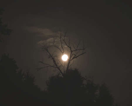 Art originated from life, I will record the beautiful scenery in my lifeの写真素材