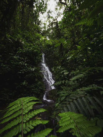Panorama of waterfall cascade in tropical rain cloud forest Mindo valley jungle Nambillo Ecuador...