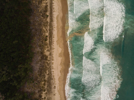 Aerial panorama of sand coast pacific ocean sea shore Opoutere beach waves Waikato Coromandel...