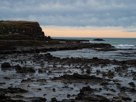 Panoramic view of petrified forest, geology fossils at Curio Bay Pacific Ocean beach during low tide...
