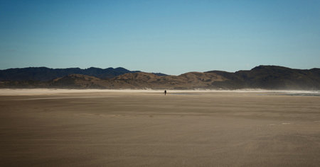 Lone person walking on endless sand dunes beach wild nature landscape panorama at Farewell Spit in...