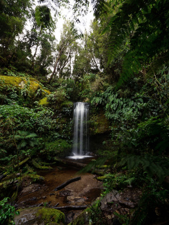 Koropuku Falls idyllic hidden gem exotic tropical lush green bush jungle waterfall in The Catlins Southland South Island New Zealandの写真素材