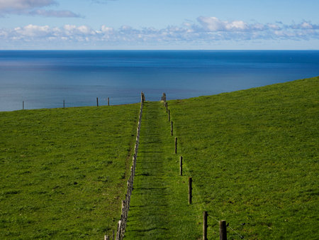 New Zealand nature landscape, green rolling hills pasture meadow separated by wooden pole fence path trail leading towards Pacific Ocean water at Homunga Bay Waikato North Islandの写真素材