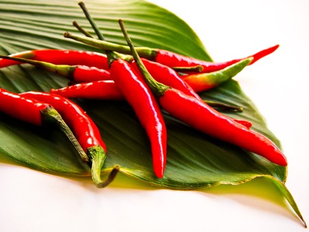 Red hot chillisの写真素材