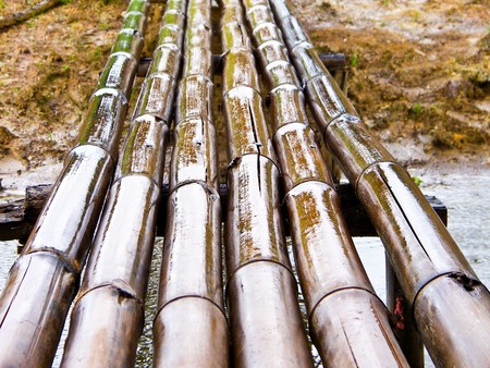 Bridge bambooの写真素材