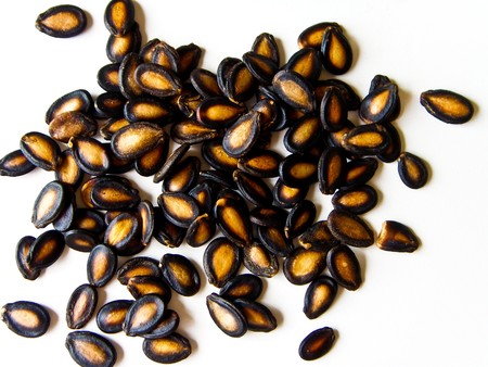 Watermelon seedsの写真素材