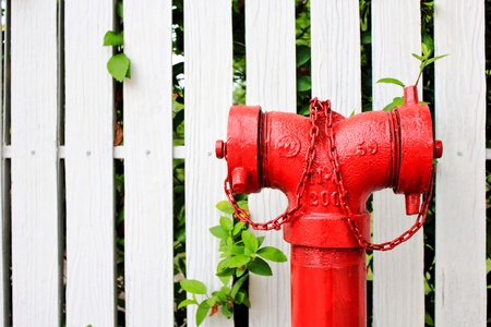Fire hydrantの写真素材