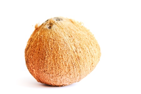 Coconut isolated on white backgroundの写真素材