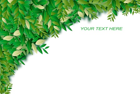 Space and green leavesのイラスト素材