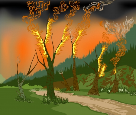 Seasonal forest fires and forest destructionのイラスト素材