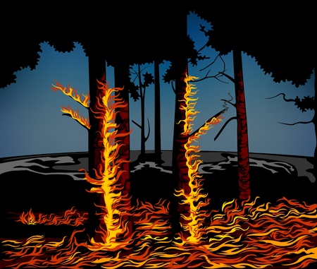 Wildfireのイラスト素材