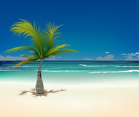 Palm and tropical beachのイラスト素材