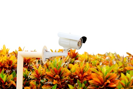 CCTV in the village. 24 hour security