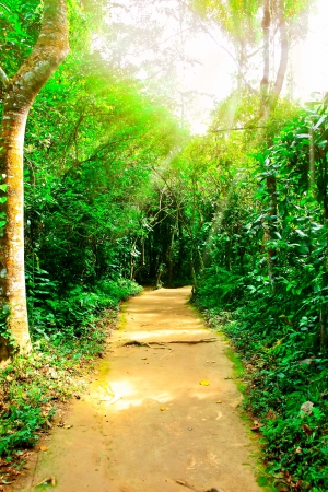 Walk in the park,beautiful viewsの写真素材