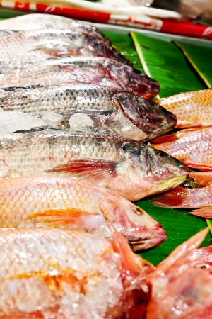 Fresh fish for cooking,in the marketの写真素材