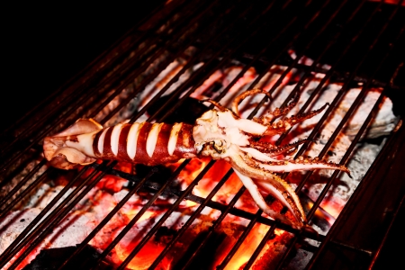grilled squid hot,sea food backgroundの写真素材