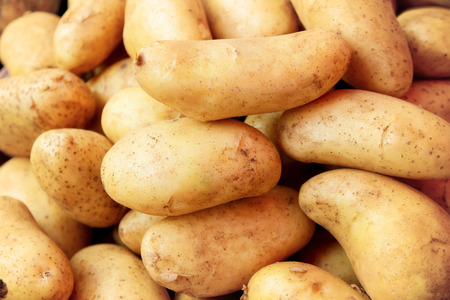 Vegetable potatoes on farmer marketの写真素材