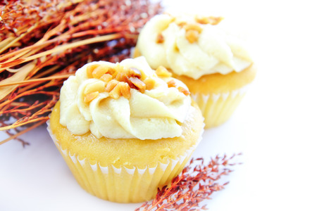 Cupcake peanut butter on a white backgroundの写真素材