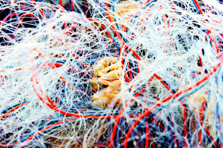 Trawl,Fisherman marine life nature backgroundの写真素材