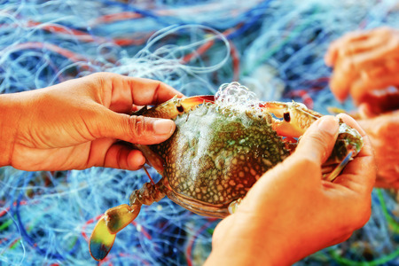 Saltwater fishing with trawlの写真素材