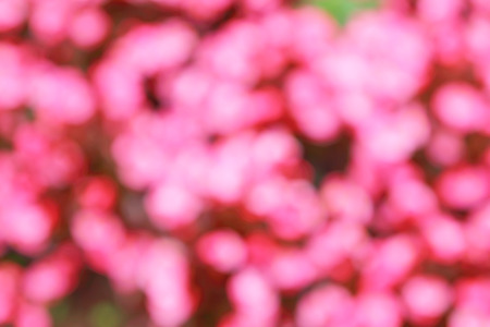 Colorful blur abstract backgroundの写真素材