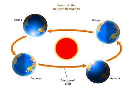 Cycle of seasons,As the Earth spins on a tilt nature backgroundのイラスト素材