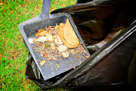 Sweeping and leaves put in garbage bagの写真素材