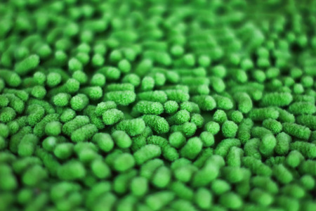 Green abstract scene with softness backgroundの写真素材