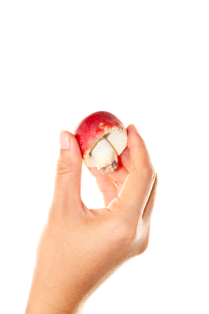 Red mushroom in women hand on a white backgroundの写真素材