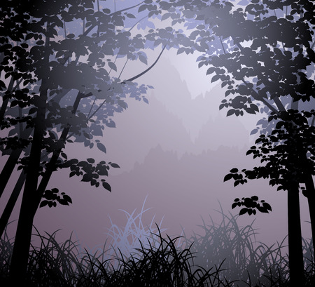 Beautiful cloud forest nature landscape backgroundのイラスト素材