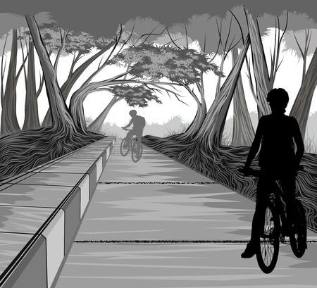 Cycling in the park vector silhouette people nature landscape backgroundのイラスト素材