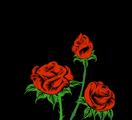 Rose on black drawing vector on a black backgroundのイラスト素材
