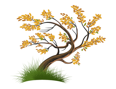 Tree on a white vector nature backgroundのイラスト素材