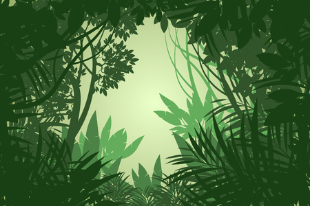 Beautiful view rain forest scene vector wallpaper nature backgroundsのイラスト素材