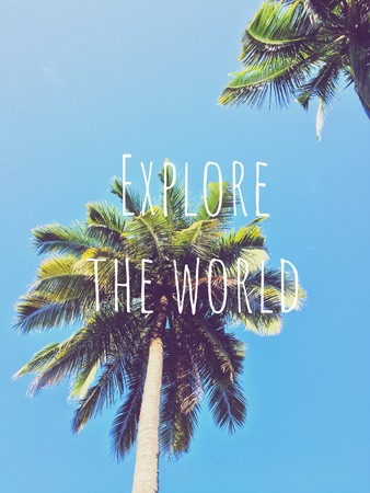 Explore the world and palm tree over blue sky nature backgroundの写真素材