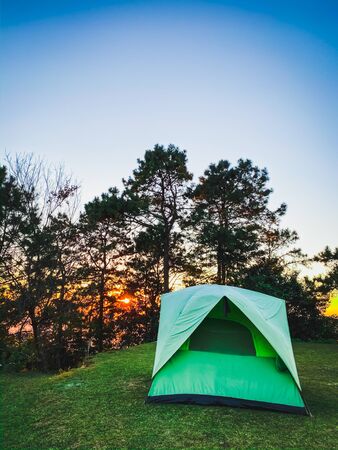 Tourist tent and pine tree on mountain peak nature landscape backgroundsの写真素材